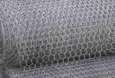 Chicken Mesh