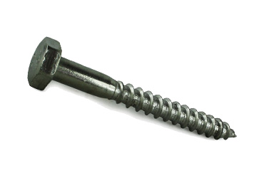 Coach Screws