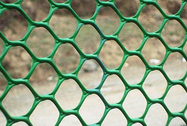 Garden Fencing