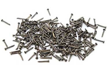 Pintax Nail