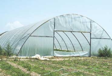 POND COVER 70 / 90 GSM