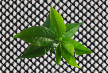 Tea Withering Net