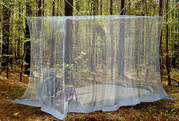 Insect net