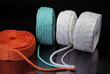 Poultry Net