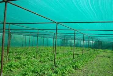 Agro Shade Net