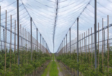 Anti - Hail NetS