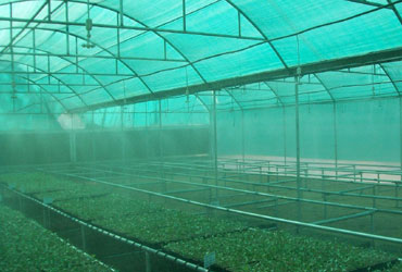 Green House Net