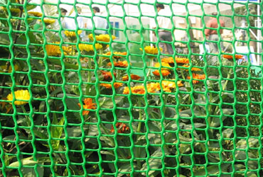 Garden Fencing Net