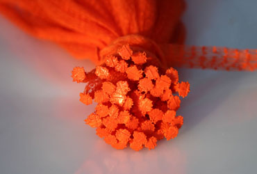 Button Seal fruit bag